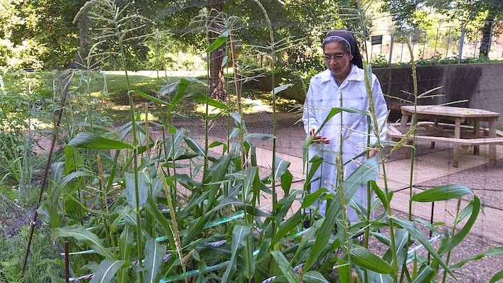 Sister Monica discusses her garden