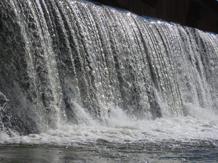 conserve water